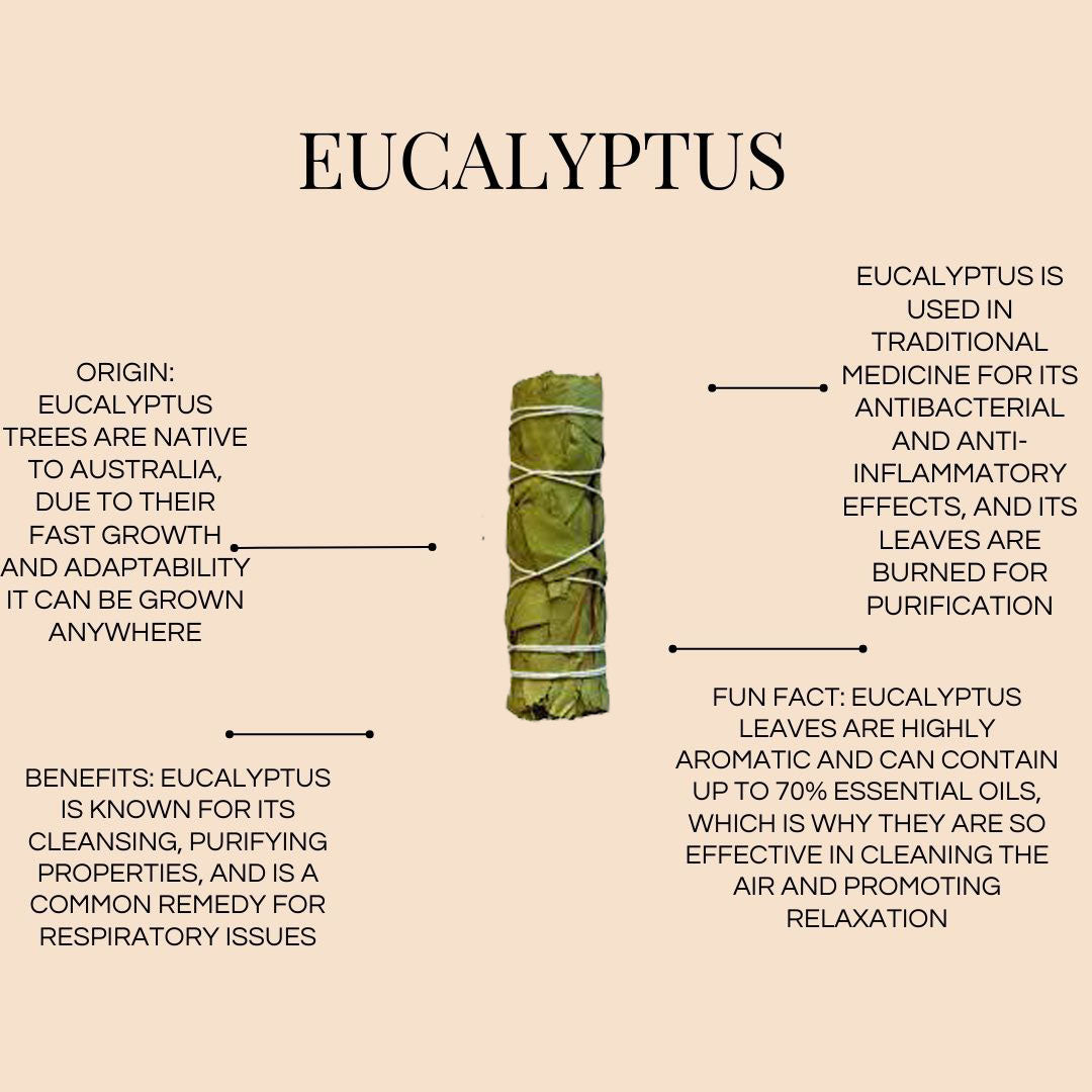 Eucalyptus Herbal Stick