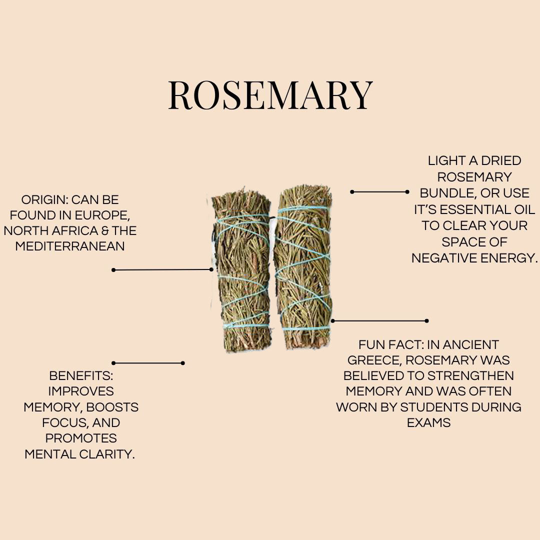 Rosemary Herbal Stick